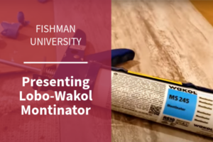 Presenting Wakol Montinator Thumbnail - 600x400px